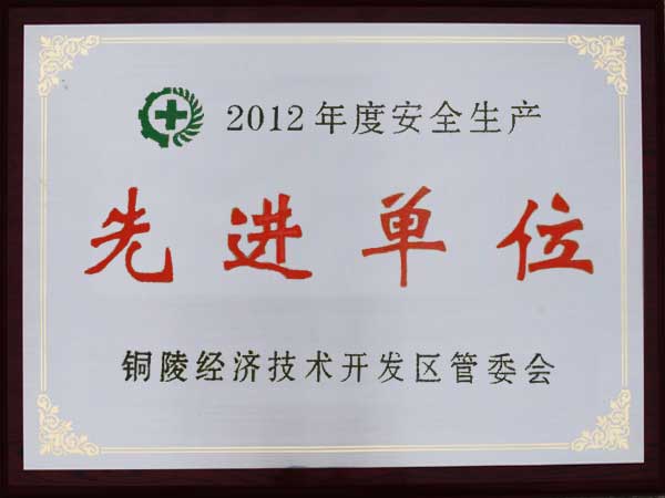 2012年度“安全生產(chǎn)先進(jìn)單位”